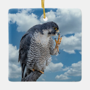 Peregrine Falcon along the Hudson River Ceramic Ornament