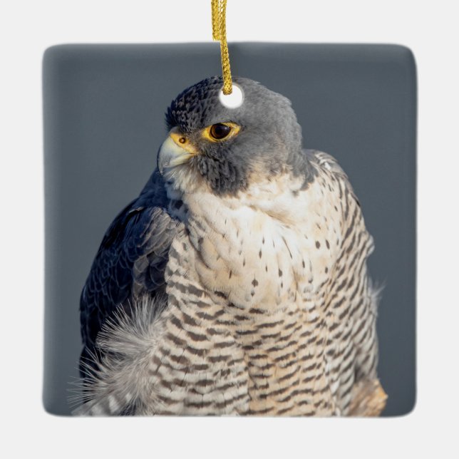 Peregrine Falcon along the Hudson River Ceramic Ornament (Front)