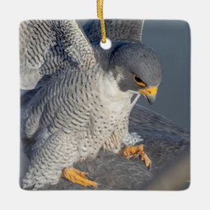 Peregrine Falcon along the Hudson River Ceramic Ornament