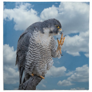 Peregrine Falcon along the Hudson River Cloth Napkin