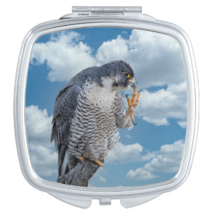 Peregrine Falcon along the Hudson River Compact Mirror