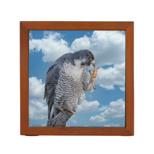 Peregrine Falcon along the Hudson River Desk Organizer