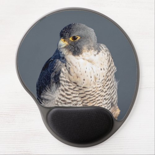 Peregrine Falcon along the Hudson River Gel Mouse Pad