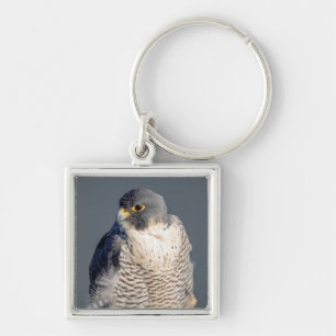 Peregrine Falcon along the Hudson River Keychain