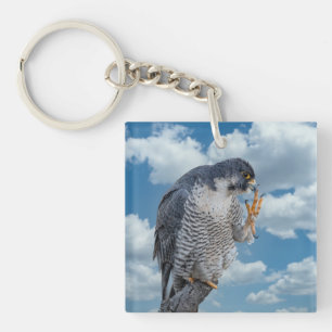 Peregrine Falcon along the Hudson River Keychain