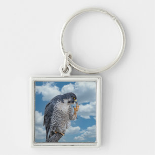 Peregrine Falcon along the Hudson River Keychain
