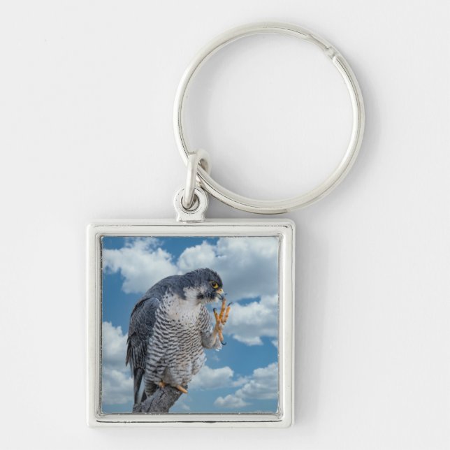 Peregrine Falcon along the Hudson River Keychain (Front)