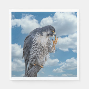 Peregrine Falcon along the Hudson River Napkins