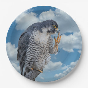 Peregrine Falcon along the Hudson River Paper Plates