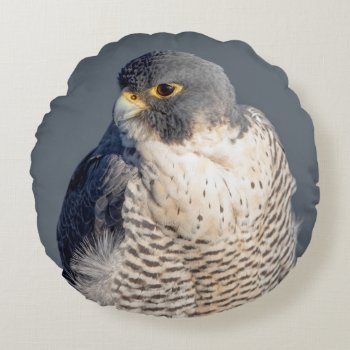 Peregrine Falcon Along The Hudson River Round Pillow by debscreative at Zazzle
