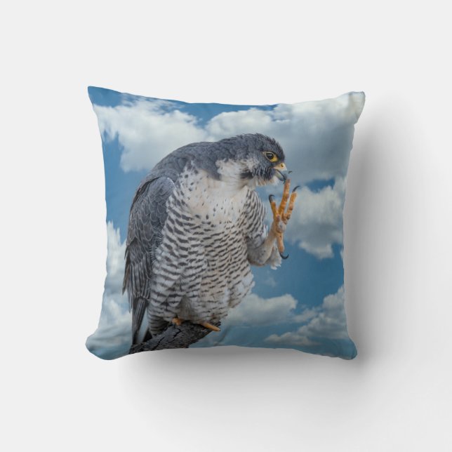 Peregrine Falcon along the Hudson River Throw Pillow (Front)