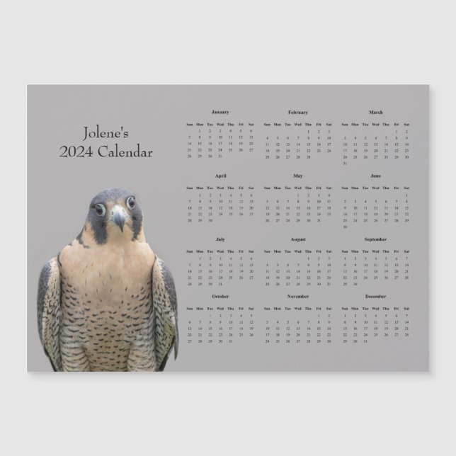 Peregrine Falcon and a 2024 Calendar (Front)