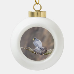 Peregrine Falcon at the Palisades Interstate Park Ceramic Ball Christmas Ornament