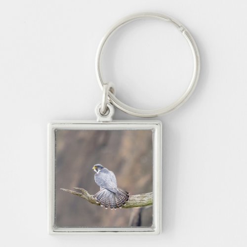 Peregrine Falcon at the Palisades Interstate Park Keychain