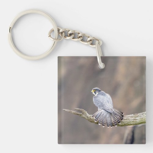 Peregrine Falcon at the Palisades Interstate Park Keychain