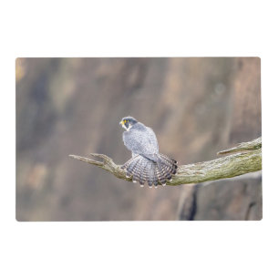Peregrine Falcon at the Palisades Interstate Park Placemat