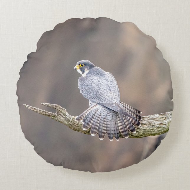 Peregrine Falcon at the Palisades Interstate Park Round Pillow (Front)
