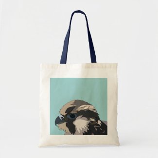 Peregrine Falcon Bird Art