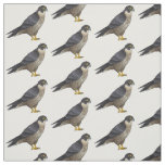Peregrine falcon bird cartoon illustration fabric