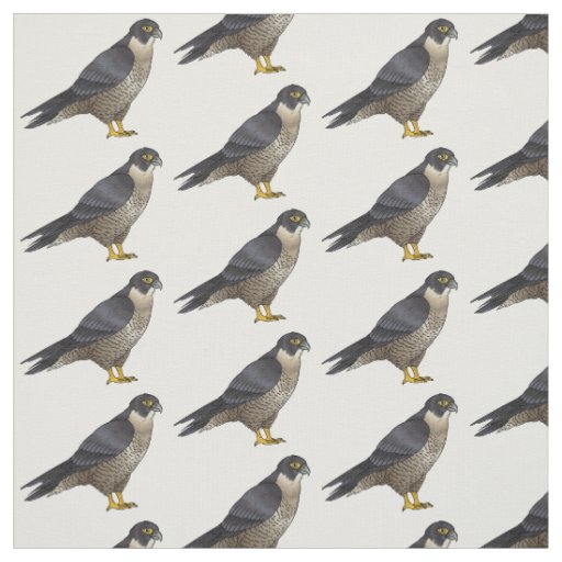Peregrine falcon bird cartoon illustration fabric