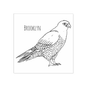 Peregrine falcon bird cartoon illustration rubber stamp