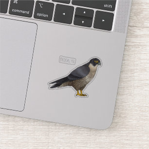 Peregrine falcon bird cartoon illustration sticker
