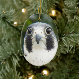 Peregrine Falcon Bird of Prey Holiday Ceramic Ornament