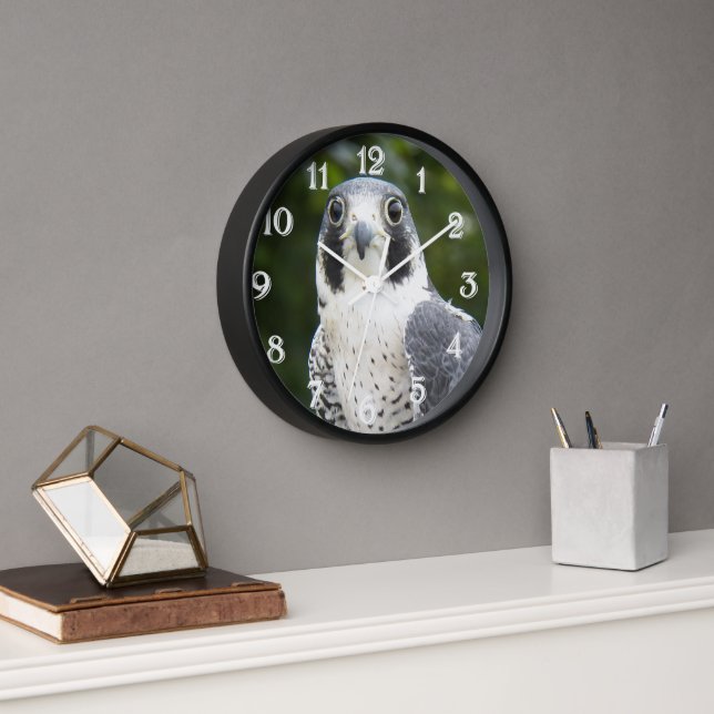 Peregrine Falcon Bird of Prey Photo Clock (Office)