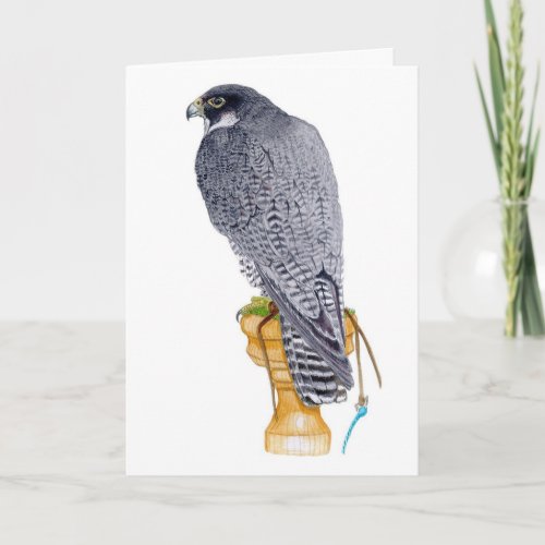 Peregrine Falcon Birthday Card