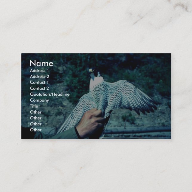 Peregrine Falcon Business Card (Front)