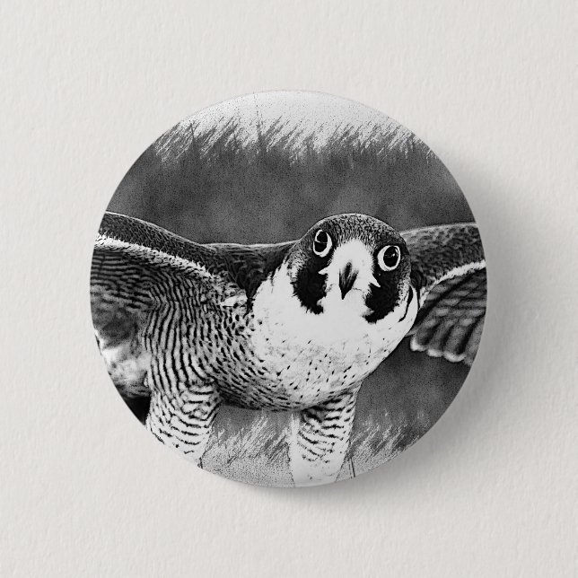 Peregrine Falcon Button (Front)