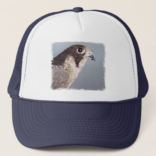 Peregrine Falcon Cap