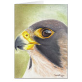 Peregrine Falcon card (Front)