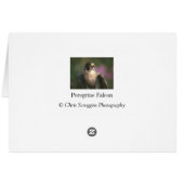 Peregrine Falcon Cards (Back Horizontal)