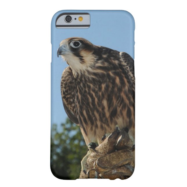 Peregrine Falcon Case-Mate iPhone Case (Back)