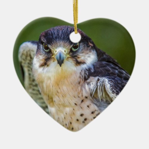 Peregrine Falcon Ceramic Ornament