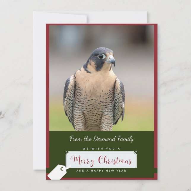 Peregrine Falcon Christmas Card (Front)
