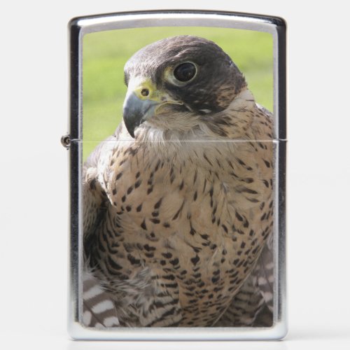 PEREGRINE FALCON CLASSIC ZIPPO ZIPPO LIGHTER