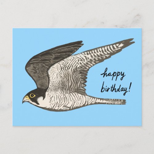 Peregrine Falcon Colored Pencil HAPPY BIRTHDAY Postcard