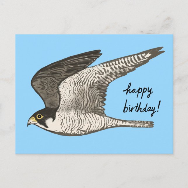 Peregrine Falcon Colored Pencil HAPPY BIRTHDAY Postcard (Front)