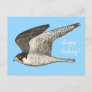 Peregrine Falcon Colored Pencil HAPPY BIRTHDAY Postcard