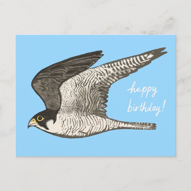 Peregrine Falcon Colored Pencil HAPPY BIRTHDAY Postcard (Front)