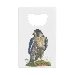 Peregrine Falcon  Credit Card Bottle Opener
