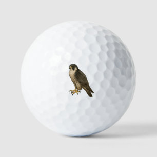 Peregrine Falcon Golf Balls
