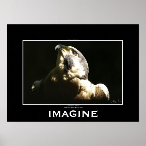 PEREGRINE FALCON Imagine Motivational Poster