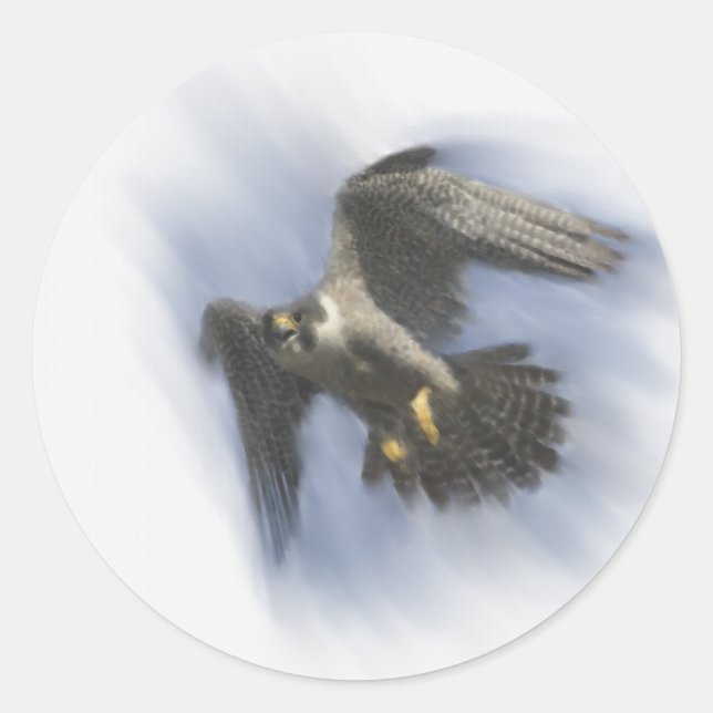 Peregrine Falcon in Flight Classic Round Sticker (Front)
