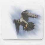 Peregrine Falcon In Flight Mouse Pad at Zazzle