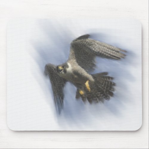 Peregrine Falcon in Flight Mouse Pad