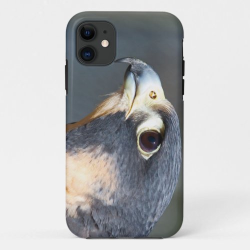 Peregrine Falcon in Profile iPhone 11 Case