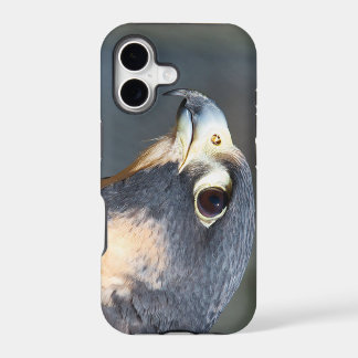 Peregrine Falcon in Profile iPhone 17 Case